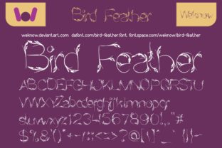 Bird Feather Font for Eye-Catching Campaigns