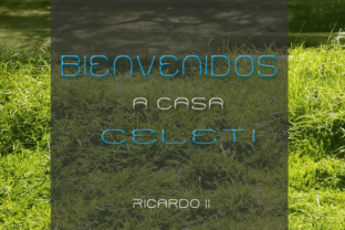 Celeti: A Playful Display Font for Bold Campaigns