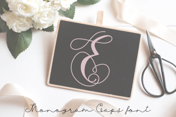 Monogram Swans: A Charming Display Font for Editorial Design